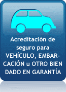 Acreditación de seguro para vehículo, embarcación u otro bien dado en garantía